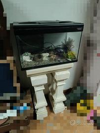 acquario 