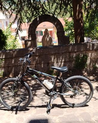 bici rockrider