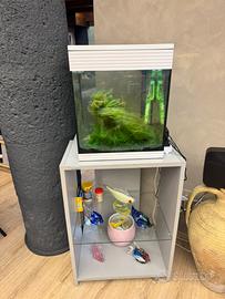 Acquario Askoll