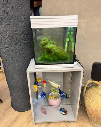 Acquario Askoll