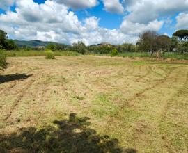 Terreno agricolo di 13500 mq pianeggiante