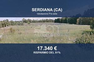 Immobile in asta di 23225 m² a Serdiana