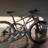 Mtb Daytona 29""