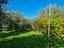 Immagine 27