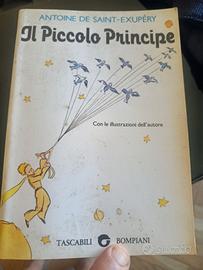 il piccolo principe 