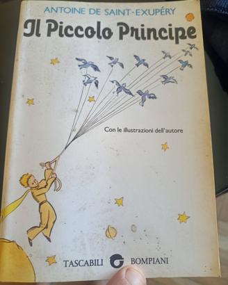 il piccolo principe 