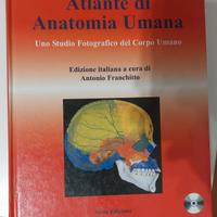 Atlante di anatomia umana, 6' edizione, Picci 
