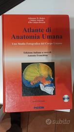 Atlante di anatomia umana, 6' edizione, Picci 