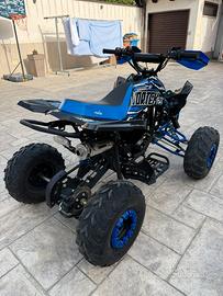 Quad ncx vortex 125