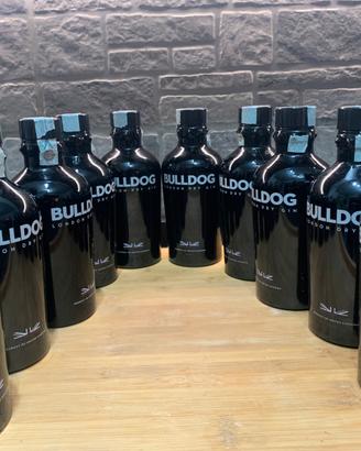 Lotto di 10 bottiglie di gin Bulldog