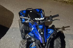Quad elettrico per bimbi 1000 w