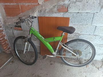bicicletta