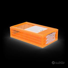 Trasportino per avicoli