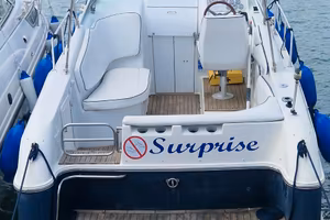 Barca a motore chris craft crowne 26