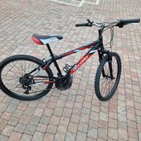 Mountanbike Stark Record 24x1.90