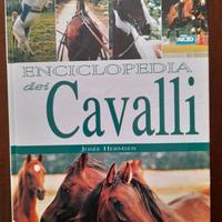 Libri sui cavalli