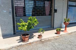 locale commerciale 