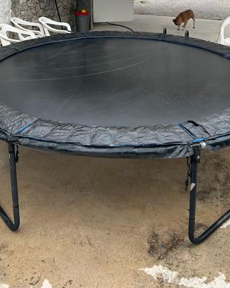 Tappeto elastico D3000