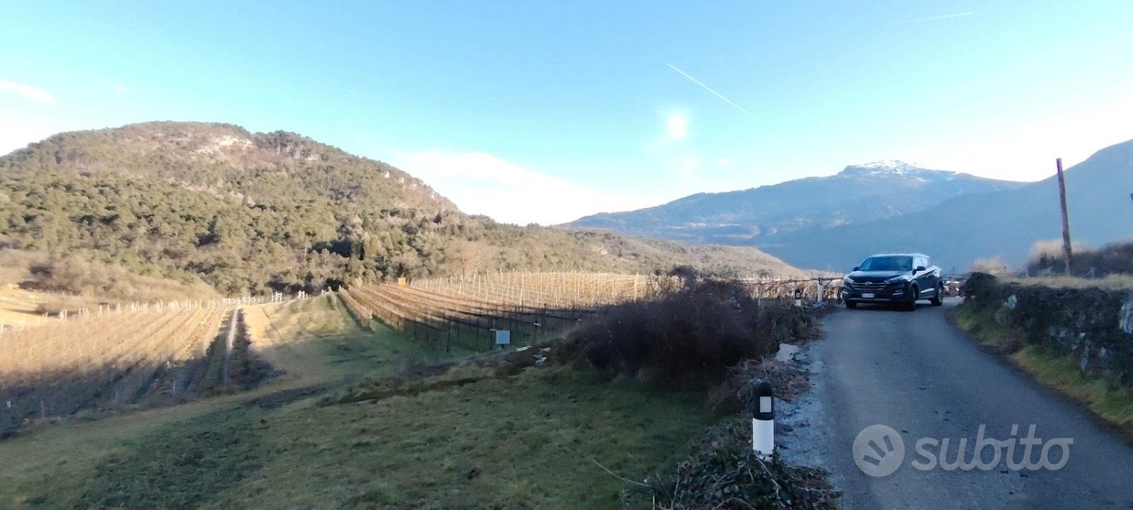 Vallelaghi Covelo - Vigneto e Arativo - Vista 4