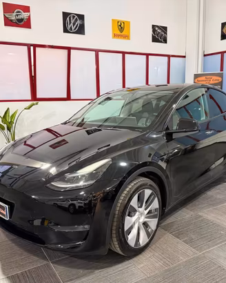 Tesla Model Y Long Range 2024