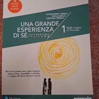 Libro letteratura italiana liceo scientifico