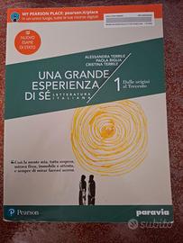 Libro letteratura italiana liceo scientifico
