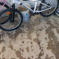 Bicicletta ruote 20