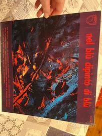 Vinile “ nel blù dipinto di blù”
