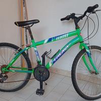 Mountain bike