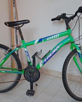 Mountain bike