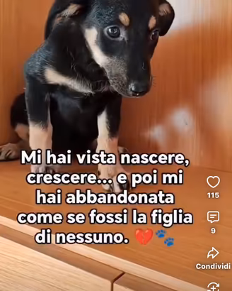tosca una vita da salvare 😔 