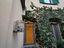 Immagine 22
