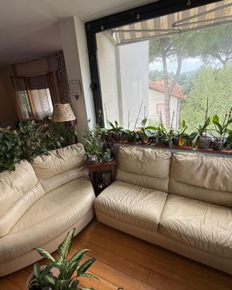 Divano Natuzzi