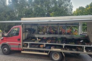 Iveco daily coibentato