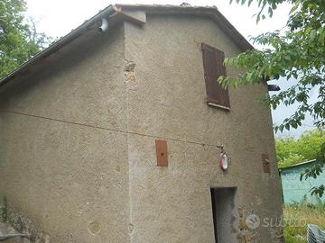 Castagneto 1 ettaro, loc. Prata-Massa Marittima GR