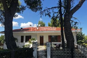 APPARTAMENTO AL PIANO TERRA CON INGRESSO INDIPENDE