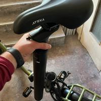 Bicicletta elettrica