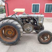 Trattore d epoca Landini t calda