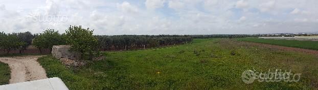 Terreno agricolo - Vista 2