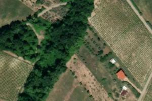 Terreno edificabile e terreno agricolo