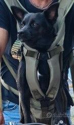 Marsupio per cane