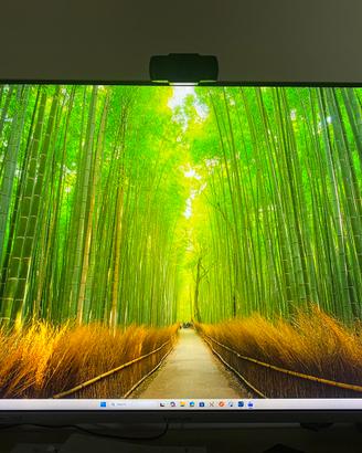 Monitor ViewSonic 32 pollici