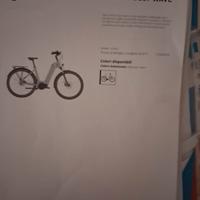 bici elettrica 