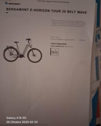 bici elettrica 