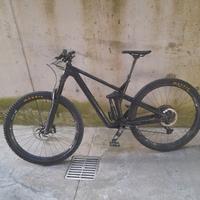 Canyon Strive Carbon 29"