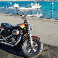 Harley-Davidson Sportster 1200 multi accessoriata