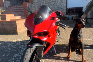 Ducati Panigale 959