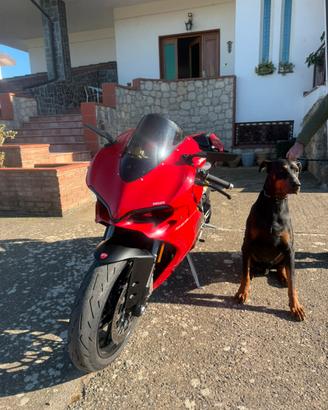 Ducati Panigale 959