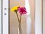 Immagine 20