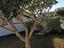 Immagine 14